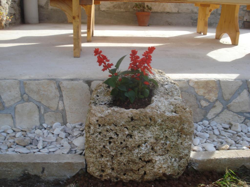 Apartment Premantura Pokoj fotografie
