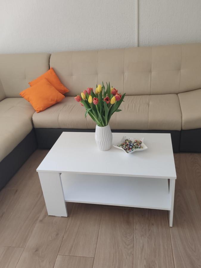 Apartment Premantura Exteriér fotografie